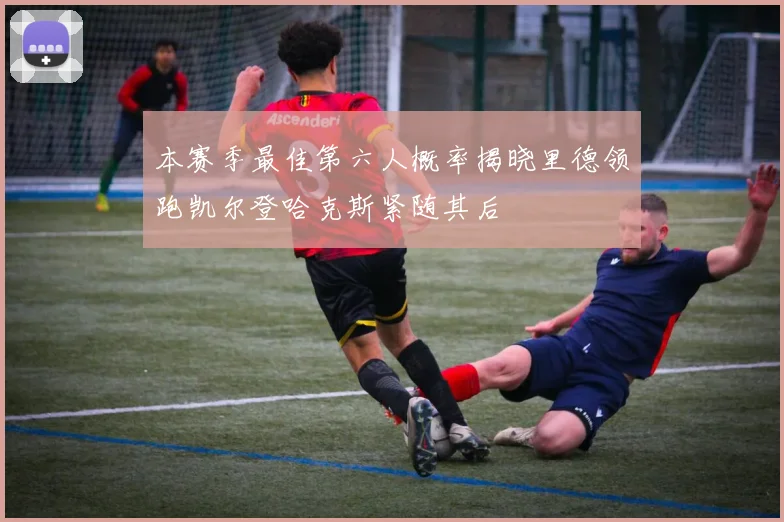 本赛季最佳第六人概率揭晓里德领跑凯尔登哈克斯紧随其后