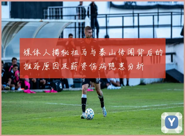 媒体人揭秘祖马与泰山传闻背后的推荐原因及薪资伤病隐患分析