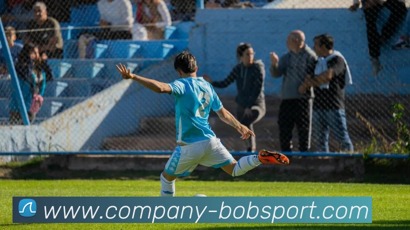 BOB体育APP 封面图